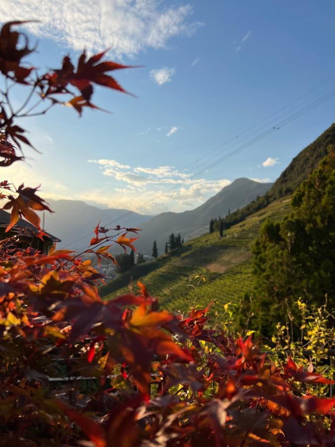Apartmán Weingut Eberlehof Bolzano Exteriér fotografie