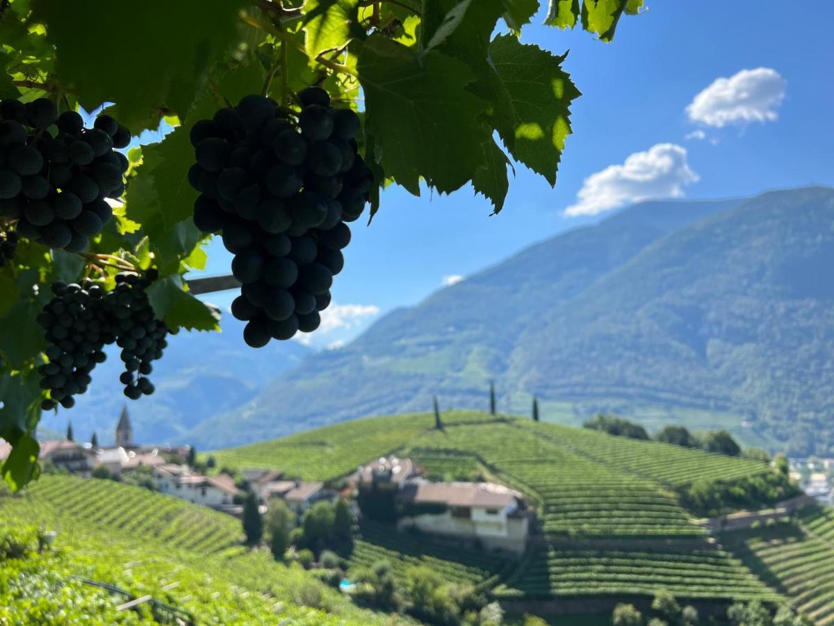 Apartmán Weingut Eberlehof Bolzano Exteriér fotografie